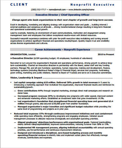 Sample Job Description Ceo Non Profit Organization - 10+ Chief Executive Officer Job Description Templates ... : If you're looking to start a nonprofit or to grow one you've already set up, you're probably wondering just what type of roles exist within other.