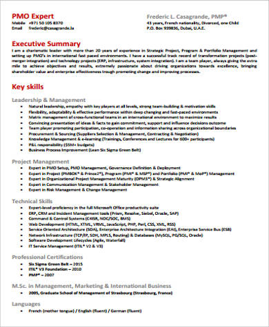 Executive Director Resume Template Word - Managing Director Resume Samples Qwikresume - We can't make it cheaper, just easier.