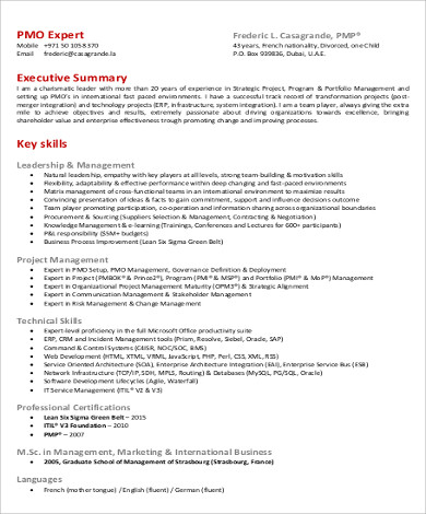 project management summary resume