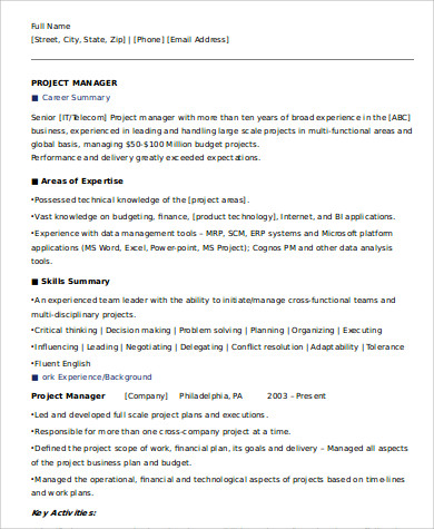 summary executive resume project management interview job sample