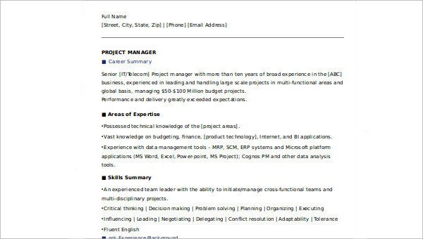 sample executive summary resume