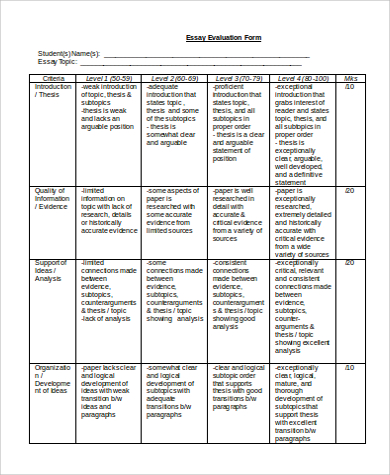 essay evaluation form