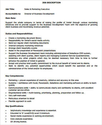 sales and marketing executive job description