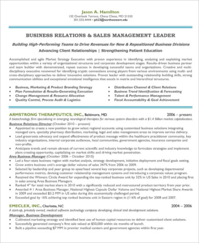 sales and marketing manager resume format