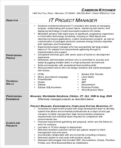 it project manager resume sample