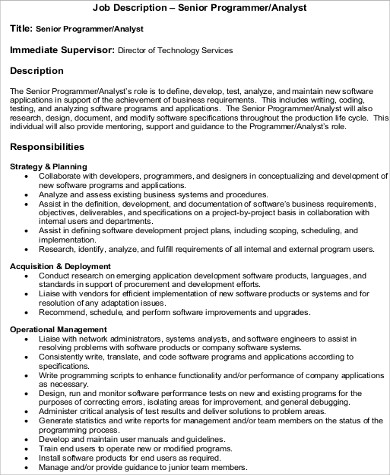 programmer system analyst job description pdf