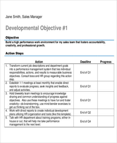 sales manager action plan pdf