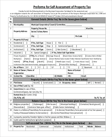 property tax self assessment form