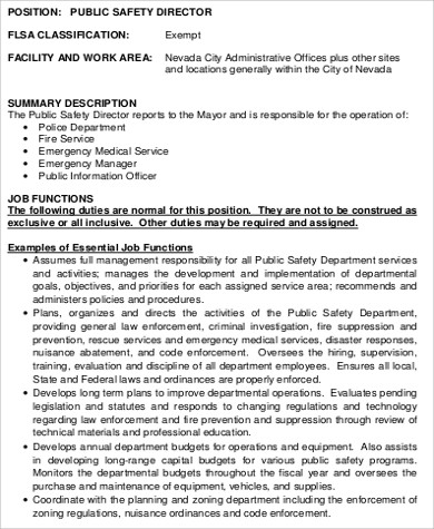 public safety director job description sample