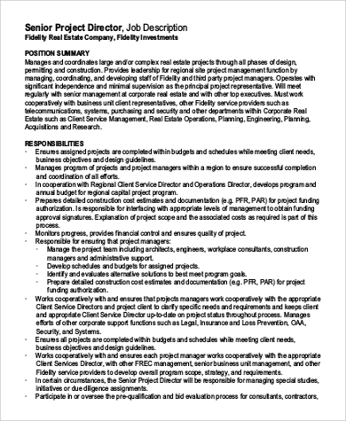senior project director job description pdf