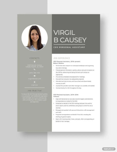 ceo personal assistant resume template