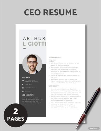 ceo resume template