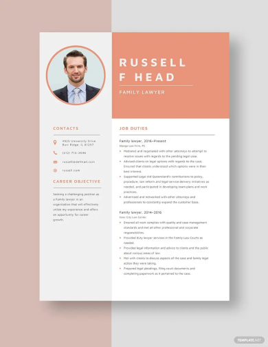 family lawyer resume template