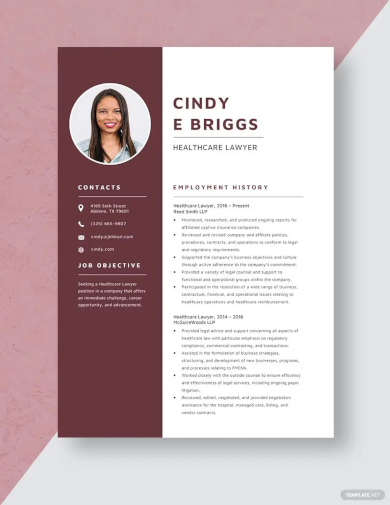 healthcare lawyer resume template