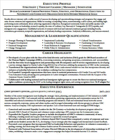 executive resume in pdf