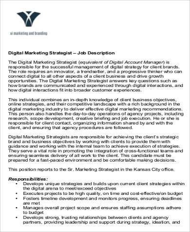 digital marketing strategist resume