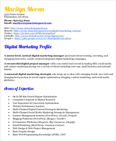 Free 8 Sample Digital Marketing Resume Templates In Ms Word