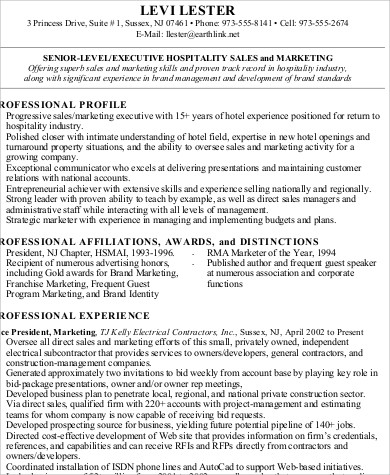 senior sales and marketing executive resume