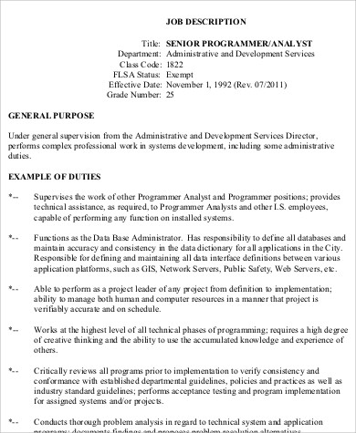 analyst programmer job description pdf