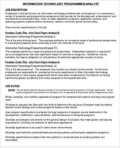 information technology programmer job description