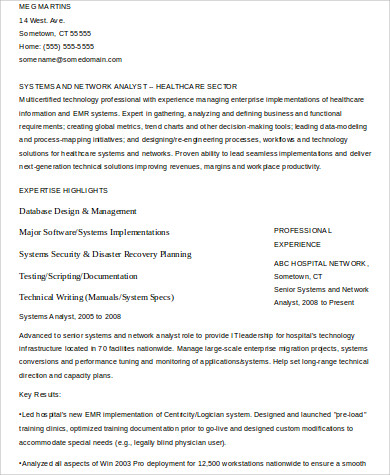 it professional resume example