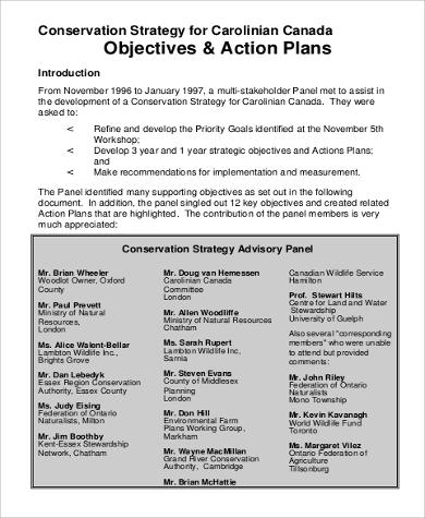 smart objectives action plan