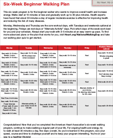 weekly exercise plan for beginners example