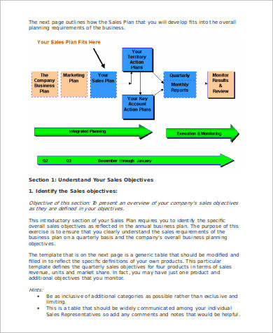 sales manager action plan example