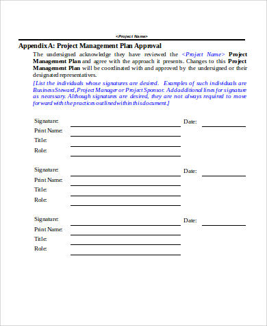 project management action plan