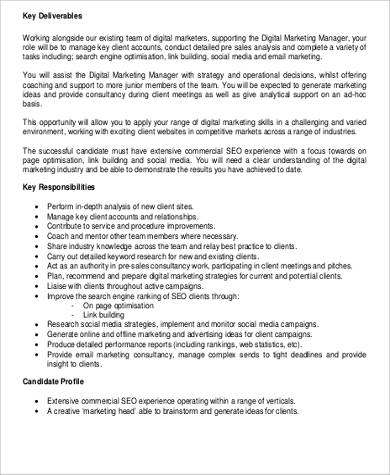 digital marketing consultant job description