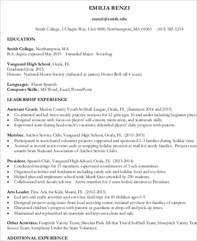 resume sample for job application