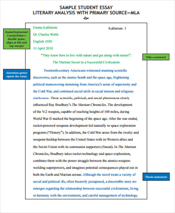 FREE 10+ Literary Essay Samples in MS Word | PDF