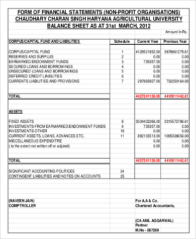 non profit organisation balance sheet format