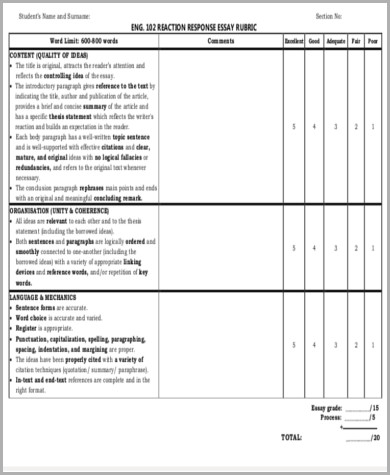 reaction response essay pdf