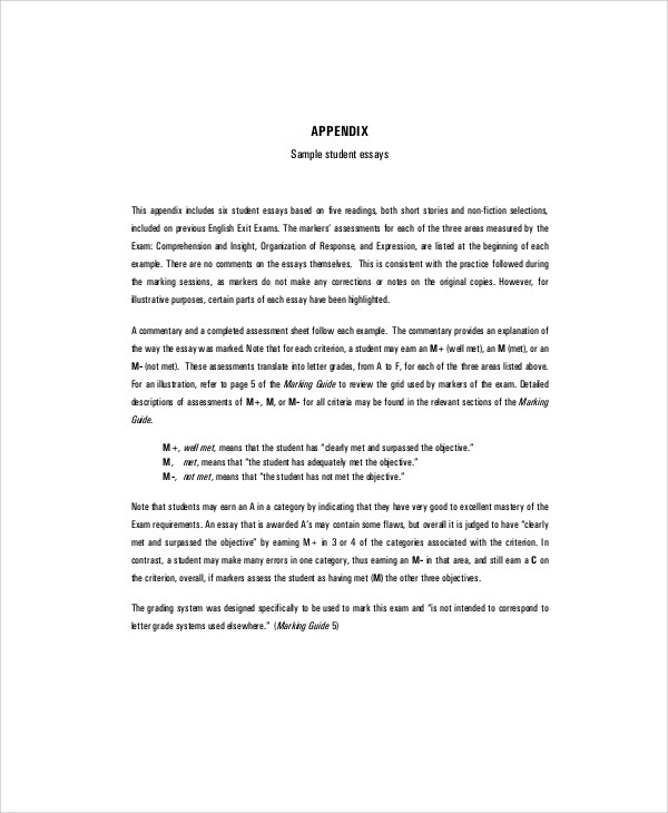 FREE 8+ School Essay Samples in MS Word | PDF