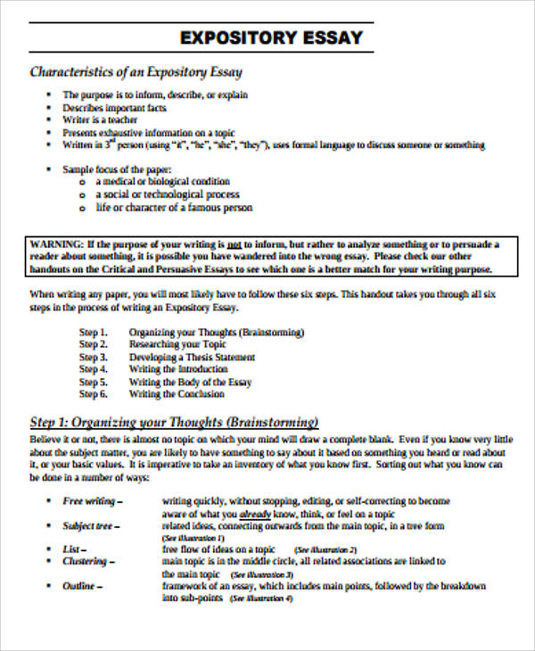 how to organize an expository essay