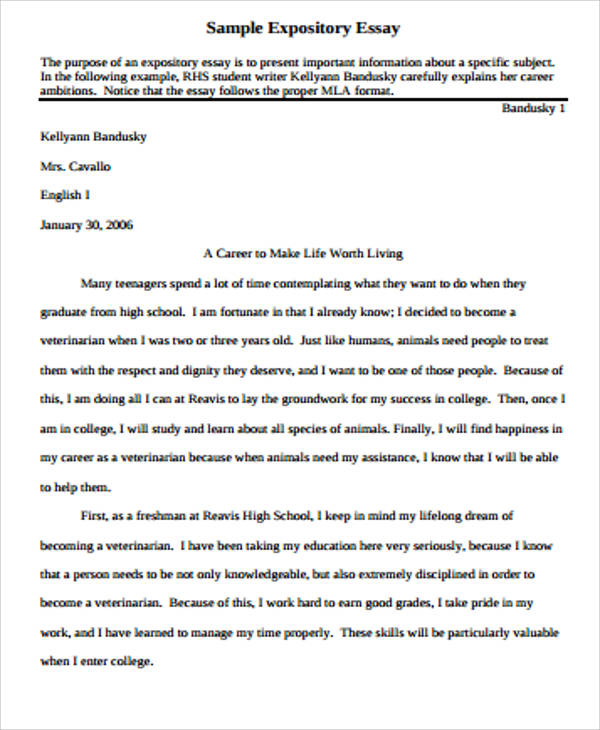 expository essay letter