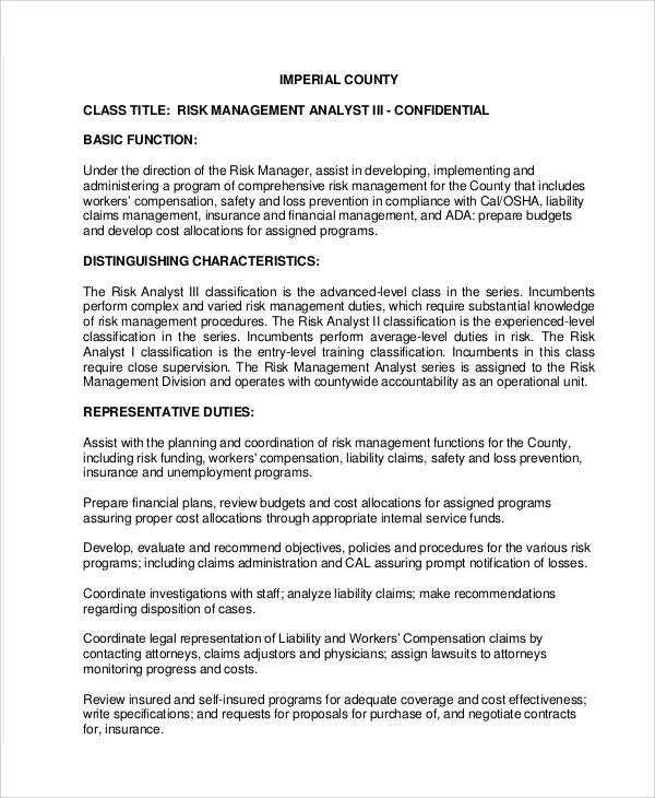 Risk Management Analyst Job Description