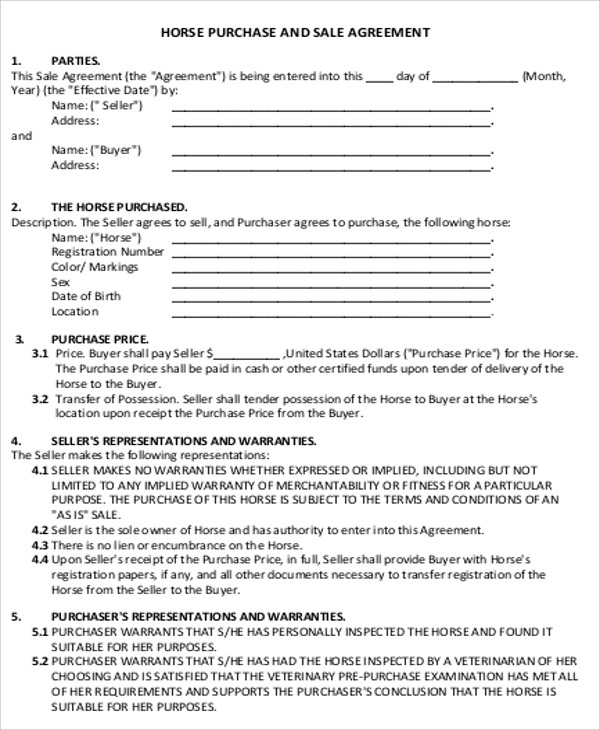 FREE 5 Sample Horse Sales Contract Templates In MS Word PDF