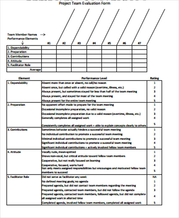 team project evaluation form