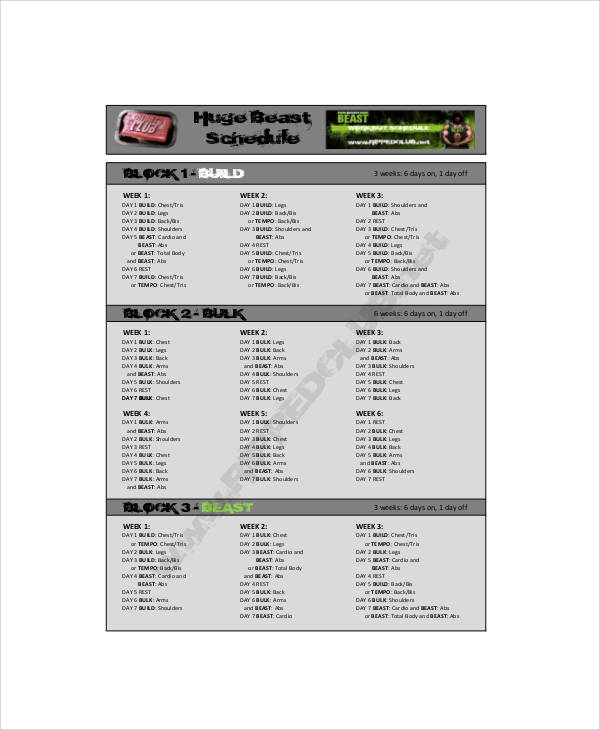 Free 7 Beast Workout Sheet Samples In Ms Word Pdf