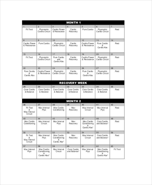 15 Minute Insanity workout pdf files for at Gym