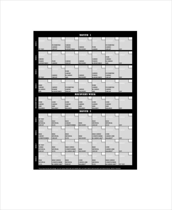 insanity workout schedule excel