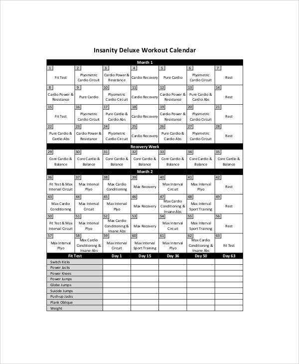 Insanity Workout Progress Chart