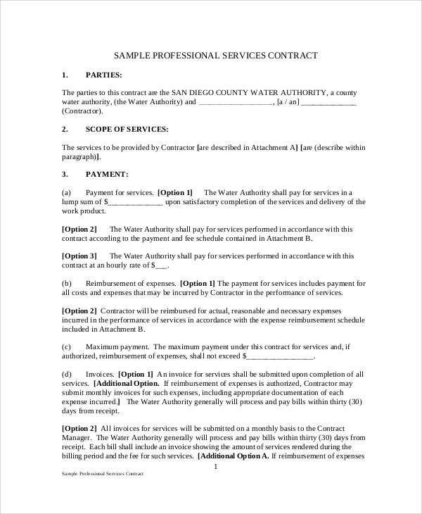 sample professional service agreement contract