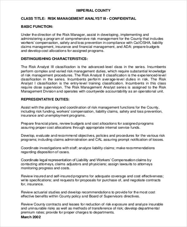 risk management analyst job description pdf