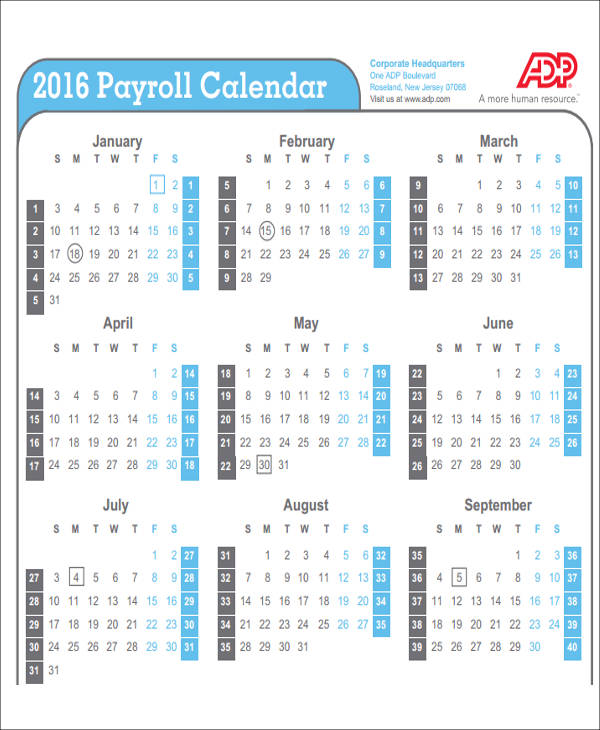 Adp Pay Calendar - Kylie Minetta