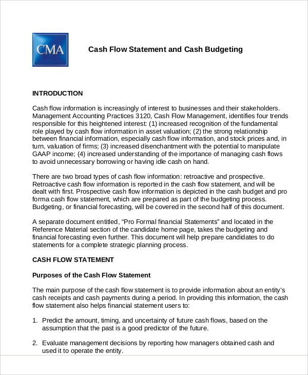 budgeted cash flow statement example