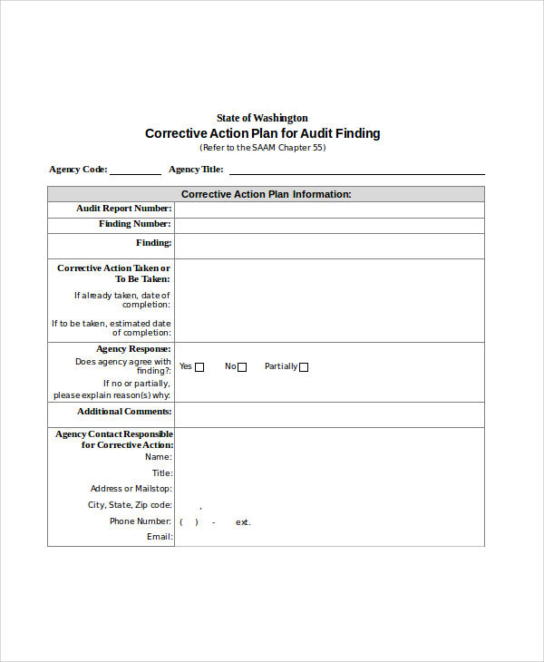 corrective action plan report format