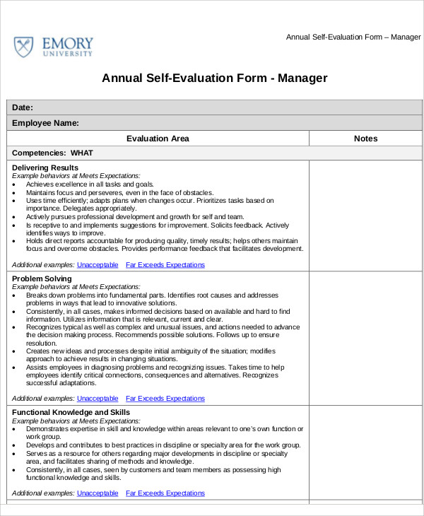 annual employee self assessment example